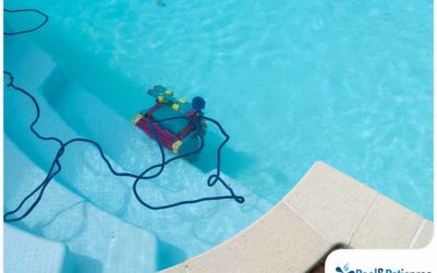 Pool Cartridge Filter: When to Clean or Replace