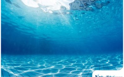 Factors That Determine Your Pool’s Water Color